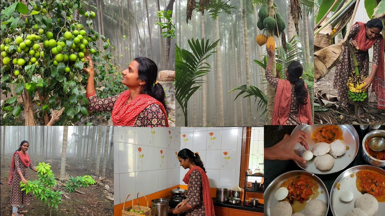 பனிய பாருங்க பாக்கு மரமே நடுங்குது🌴Harvesting fresh fruits in farm/snow time 