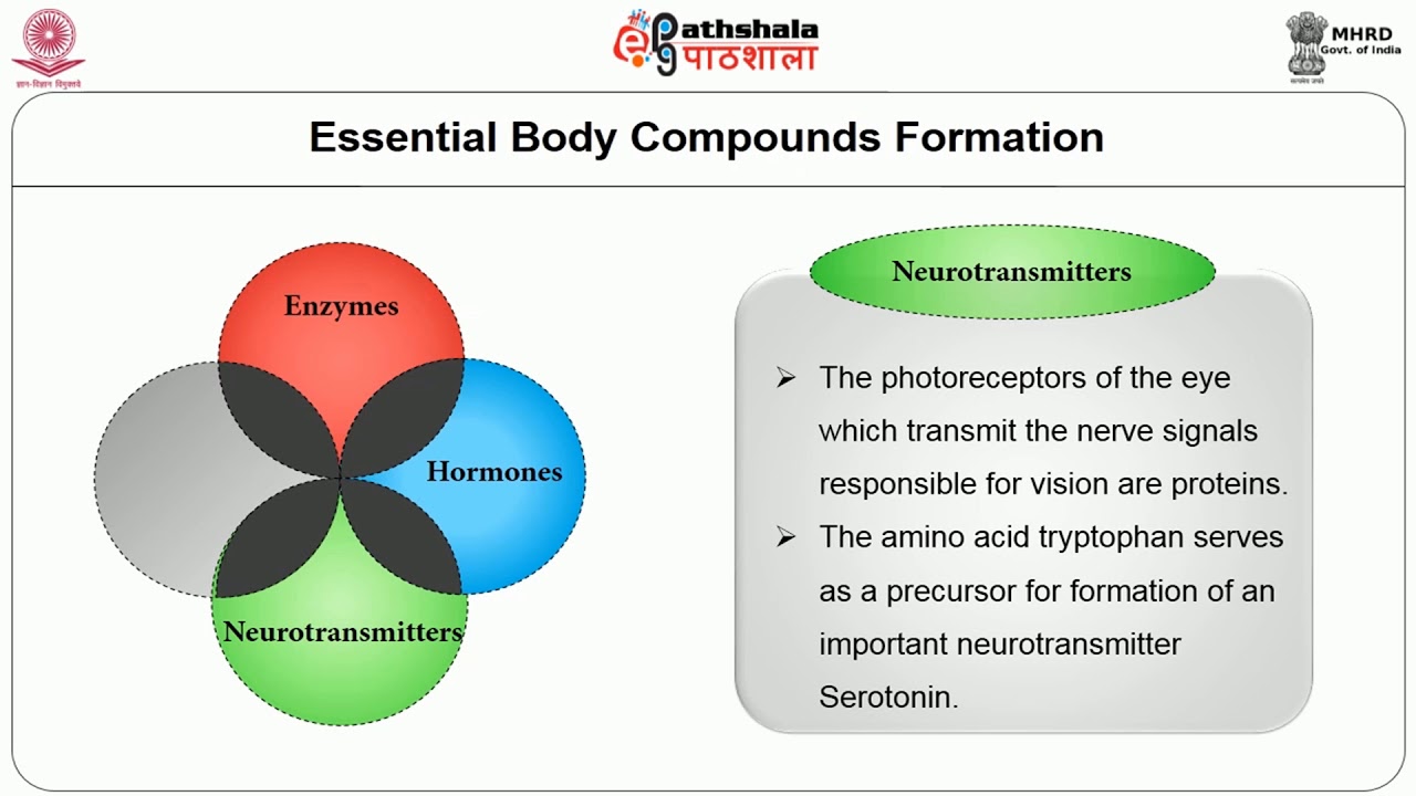 Nutritional Importance of Proteins