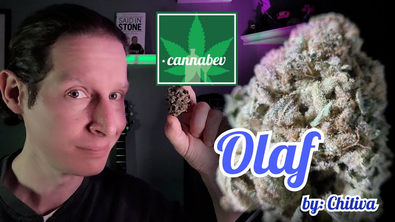 THC by Chitiva / Prescribd Olaf - Illinois Cannabis Review