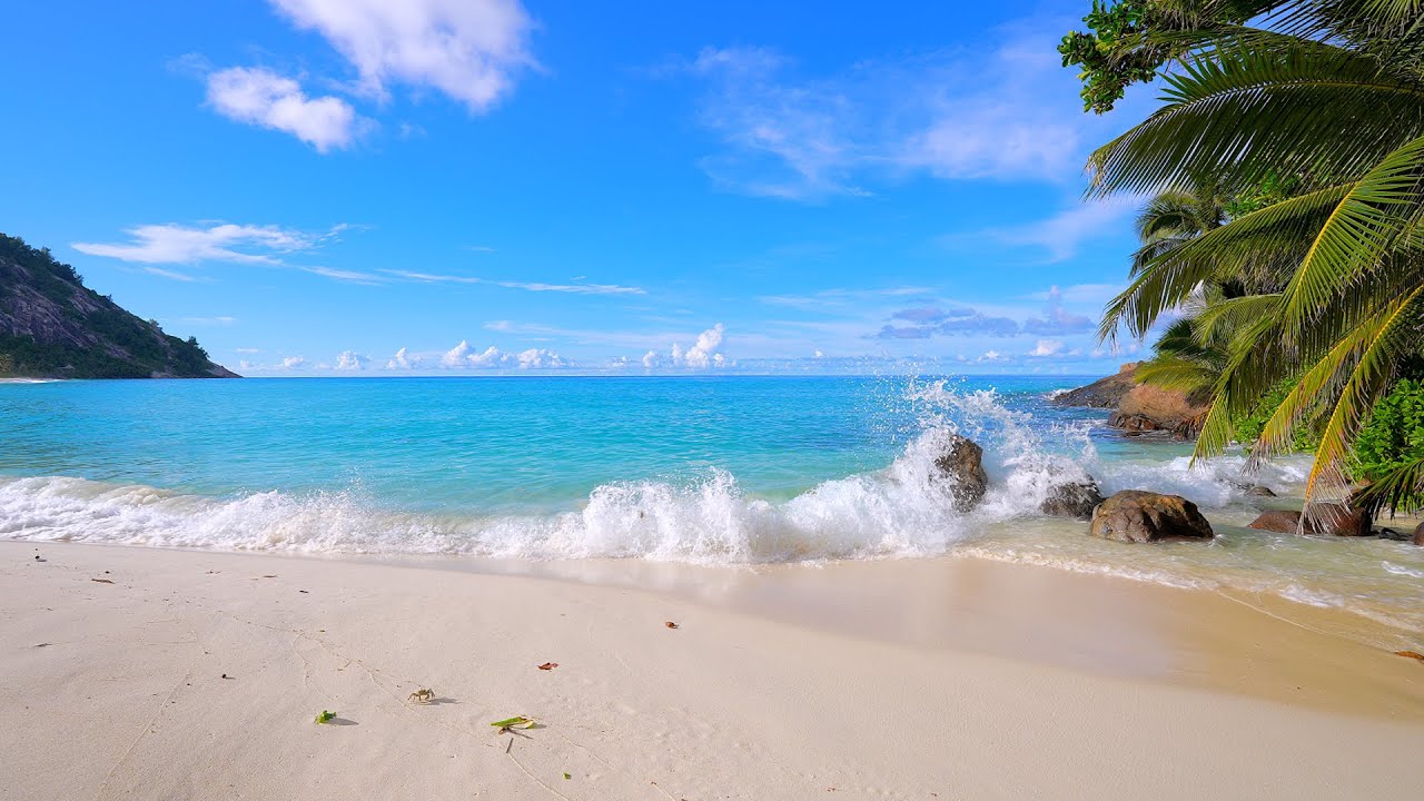 🏝 Relax on a Luxury Island in Seychelles. Tropical Beach in Summer.