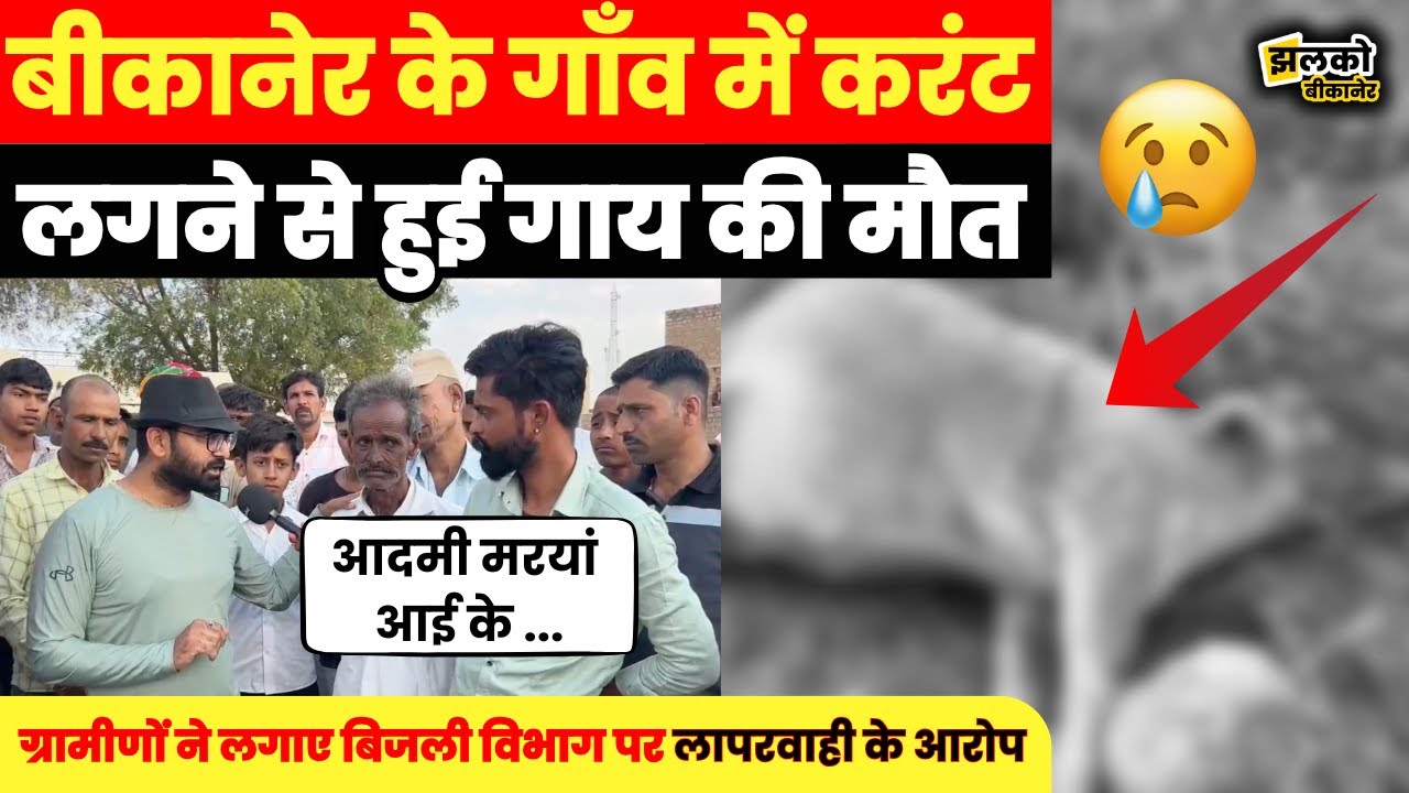 Bikaner के गाँव में बवाल,गर्भवती गाय के साथ ऐसी घटना की ग्रामीणों का फूटा गुस्सा देखें वीडियो ~