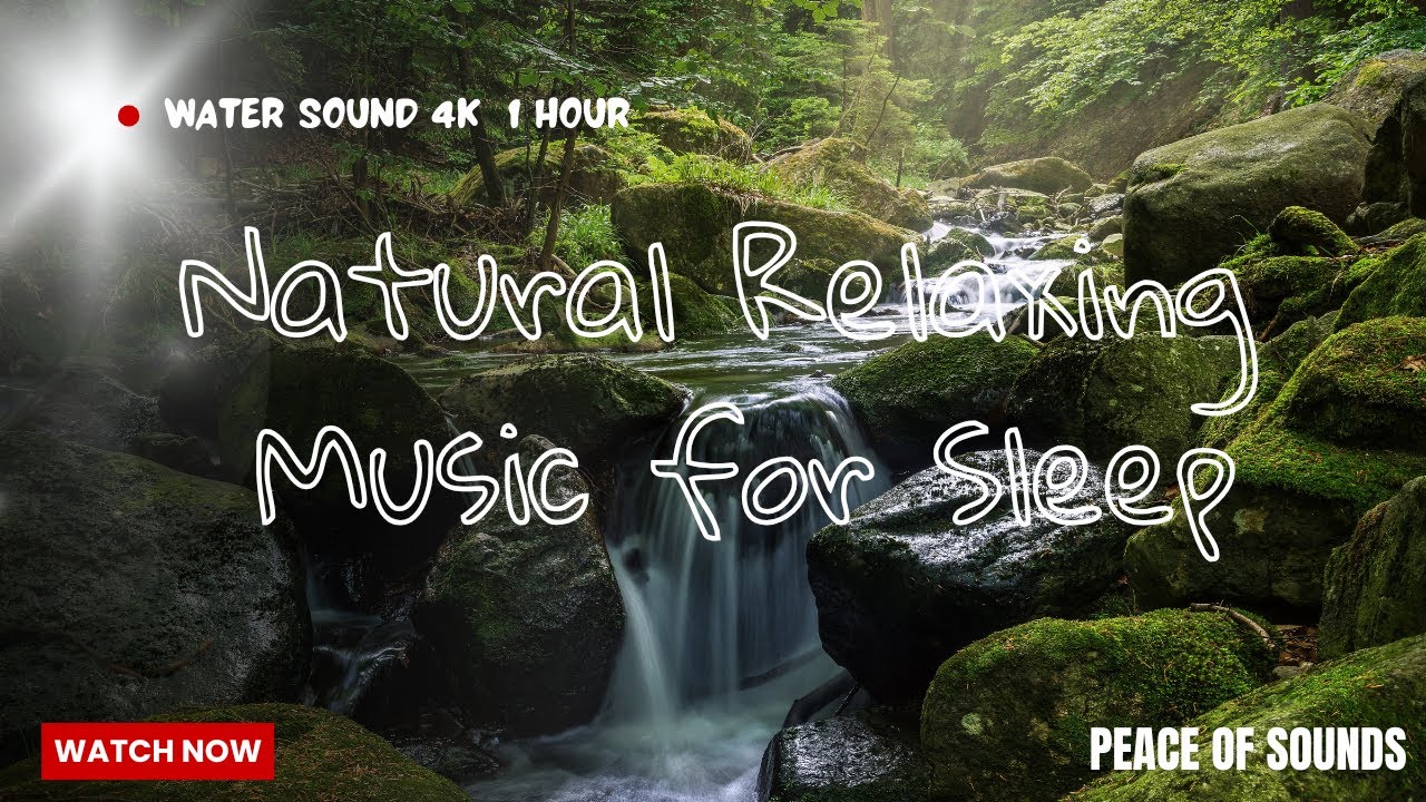 Beautiful natural Water Sounds with birds singing White Noise Stream Meditation ,Stress Relief calm