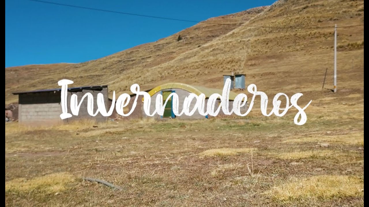Invernaderos de Antauta, Puno📍