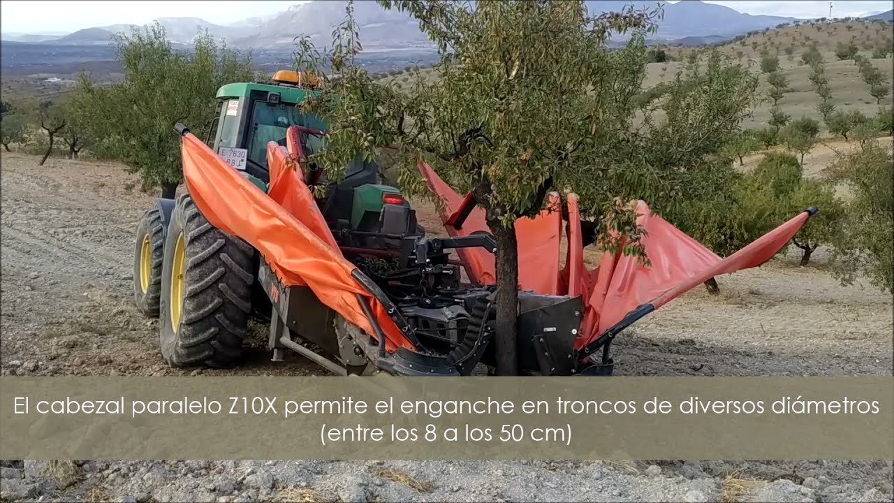 Paraguas recolector de almendras y frutos secos en campaña 2020 (Agromelca VTS)