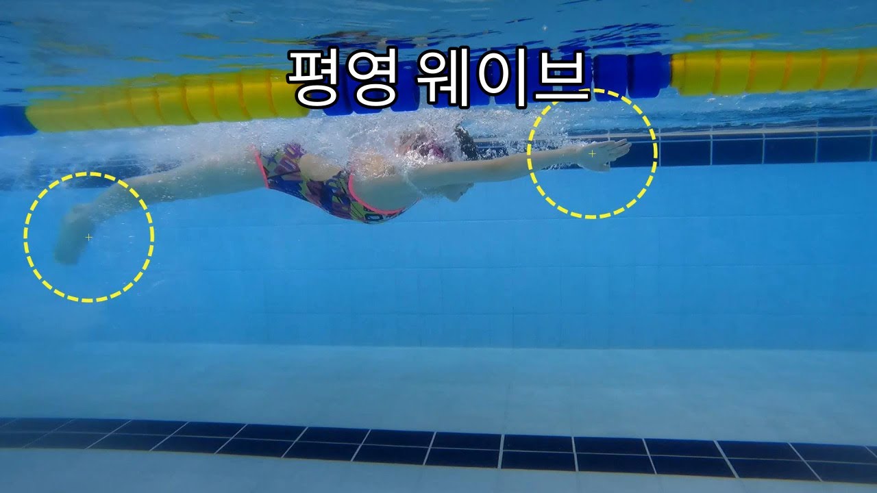 [상급][평영테크닉] 상체 웨이브 쓰는법