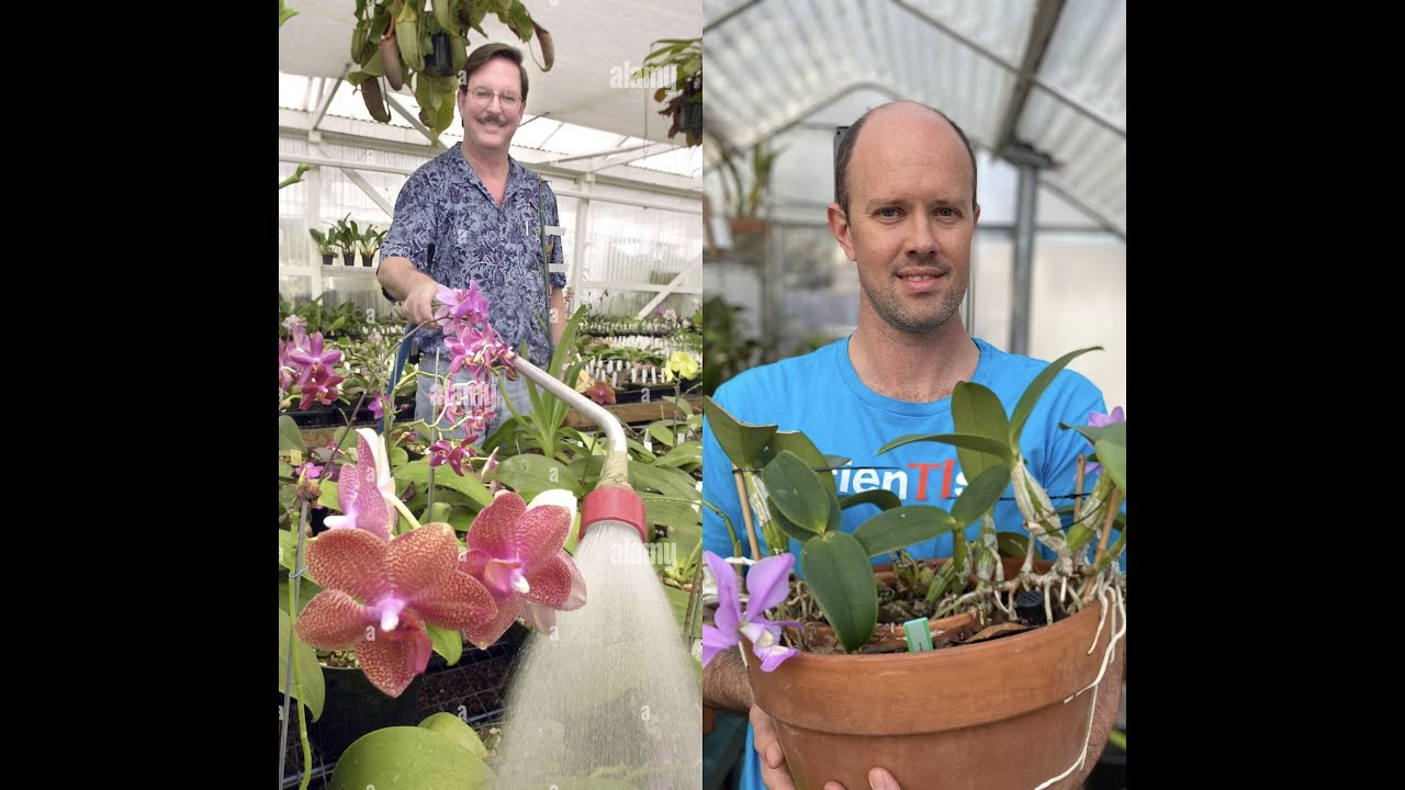 Autumn / Winter Catasetum Care with Fred Clarke