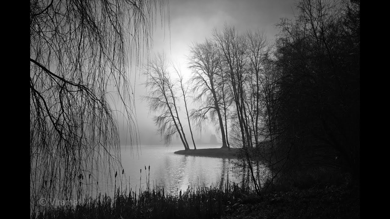 Stourhead walk. Leica Q3 Monochrom