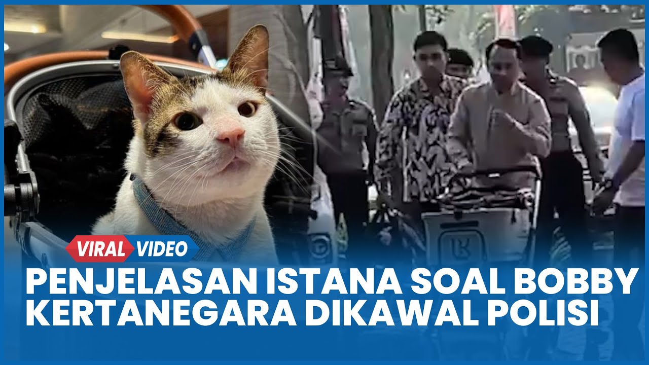 Penjelasan Istana Mengapa Kucing Prabowo Bobby Kertanegara Dikawal Polisi