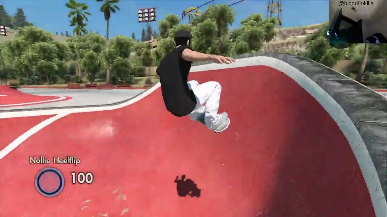 SKATE 3 - FLAWLESS