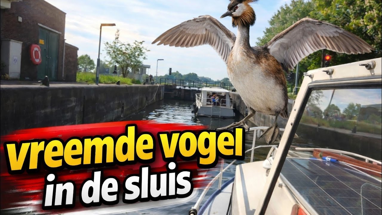 Mei vakantie nr. 5 Hollandse IJssel