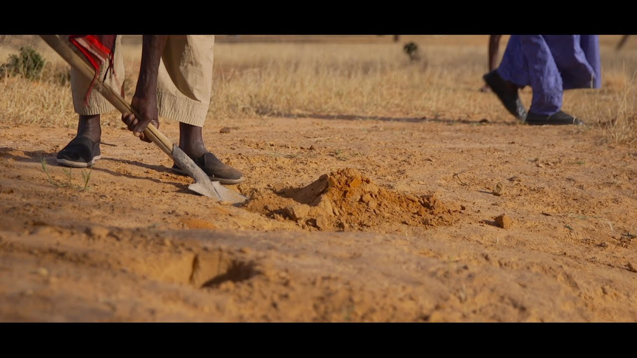 The story of the Great Green Wall