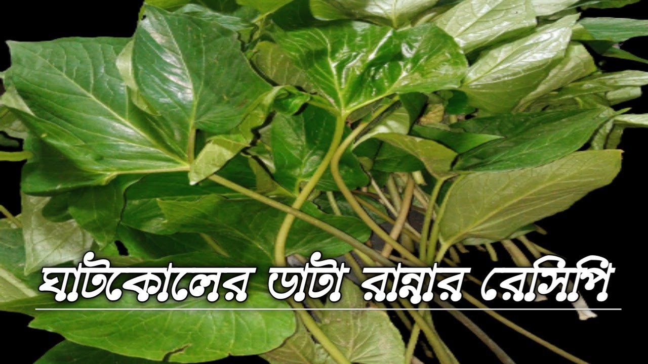 kharman recipe. ঘাটকোলের ডাটা রান্নার রেসিপি | #ডেড়াঘর
