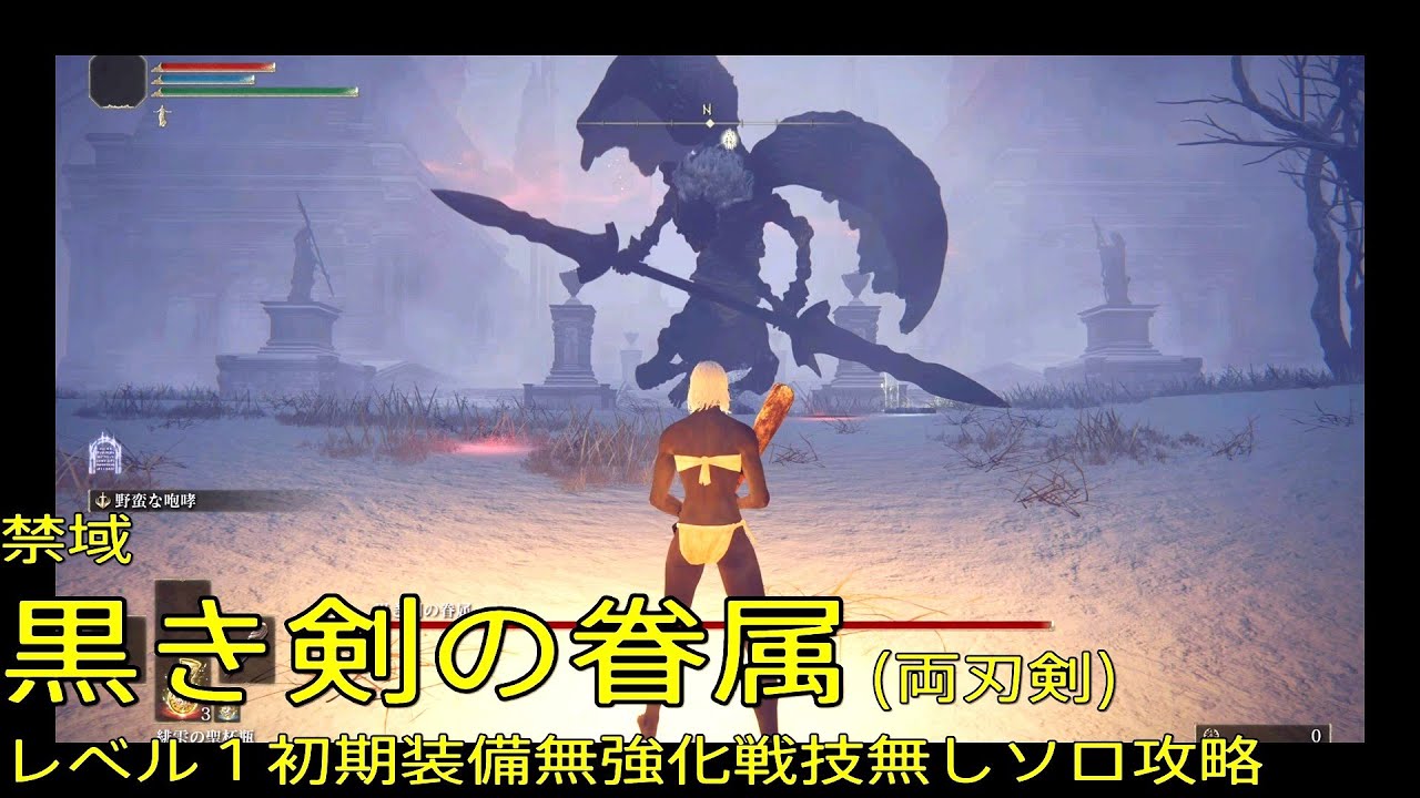 【エルデンリング】禁域 