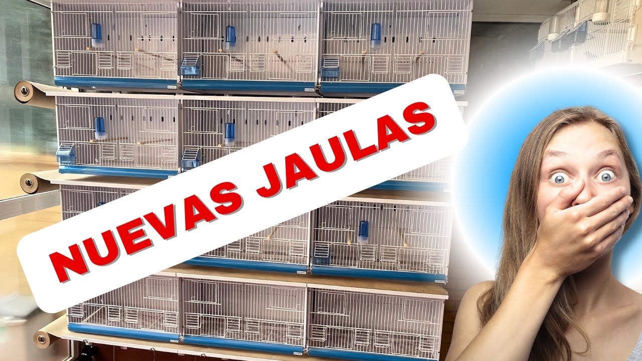 ¡Estreno Jaulas New Canariz! 🐦🔥 ¿La Mejor Opción para Canarios?