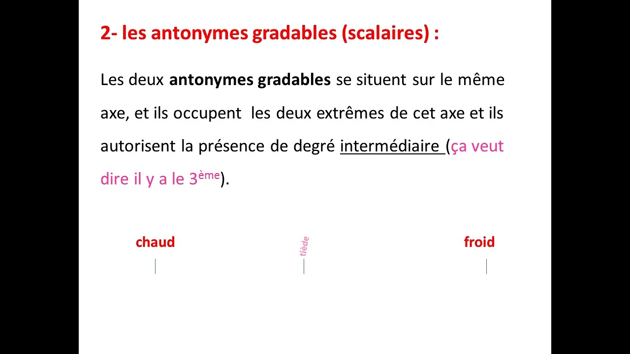 La s&eacute;mantique:l'antonymie/ l'hyponymie. (suite)