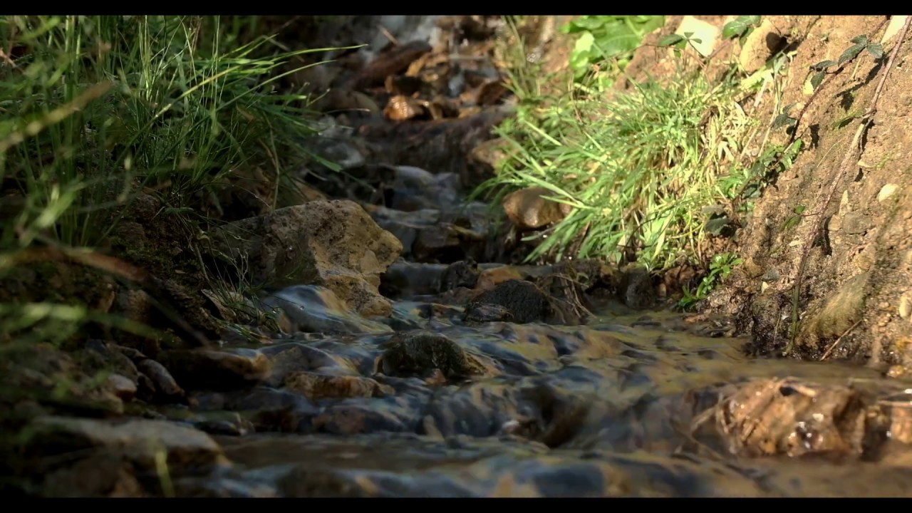 One Hour Relaxing Stream Sounds