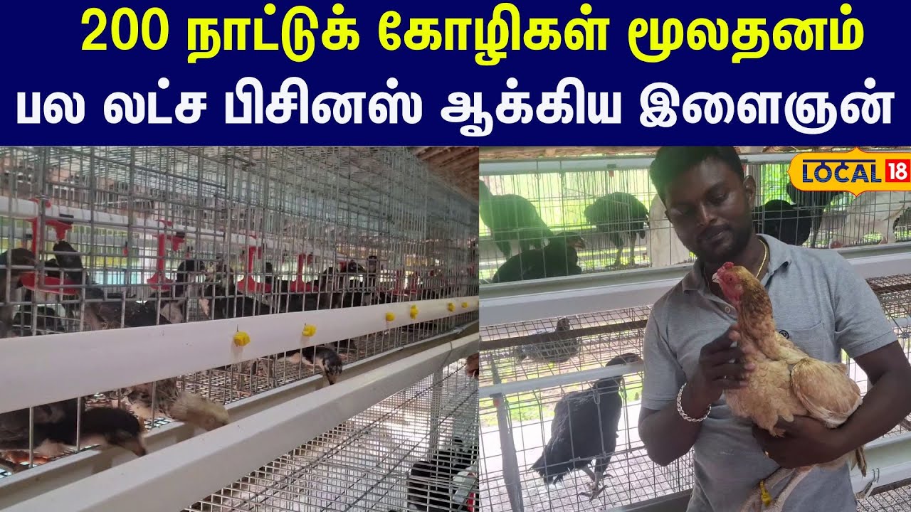 Success Story: லட்சக்கணக்கில் லாபம்... நம்பிக்கையளிக்கும் நாட்டுக் கோழி வளர்ப்பு #local18