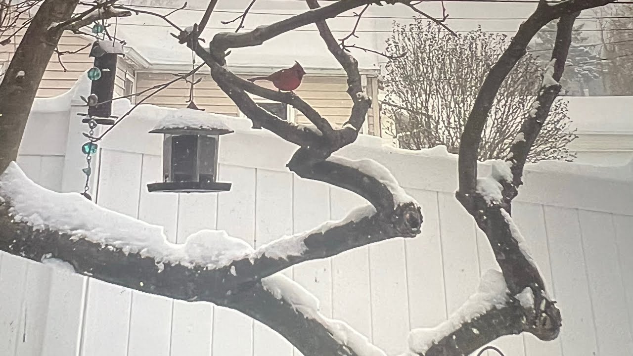 Cooking Lasagna, Doing Laundry, And The Big Winter Storm!