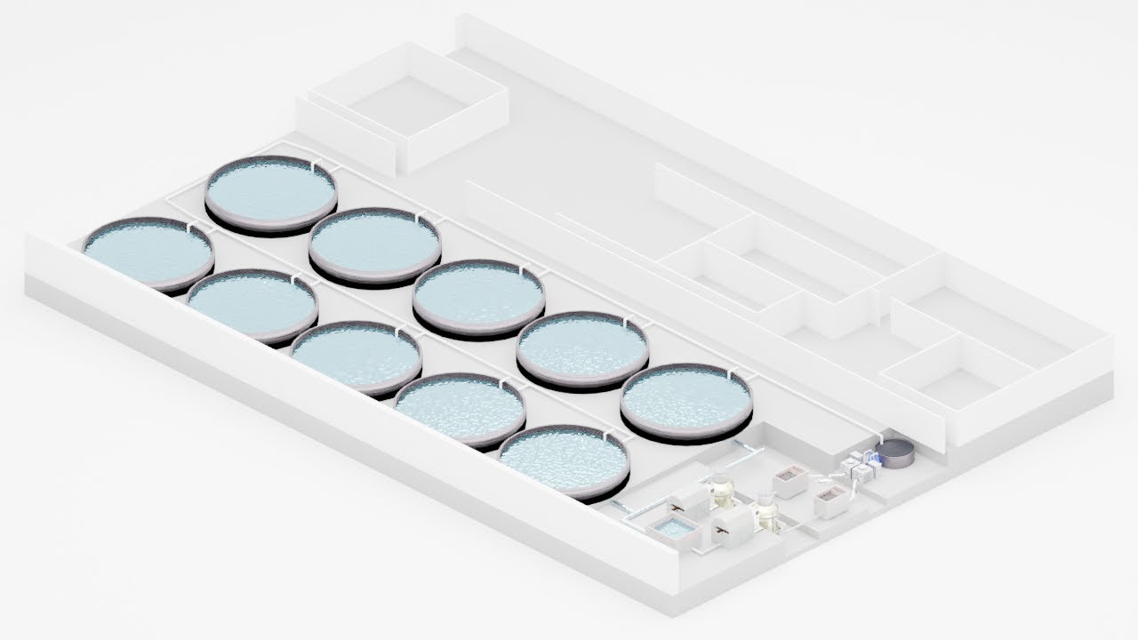 Recirculating Aquaculture System animation