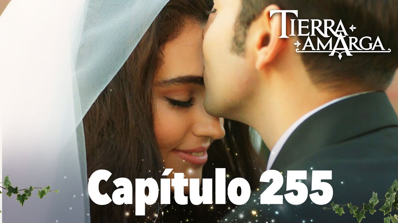 Tierra Amarga - Capítulo 255