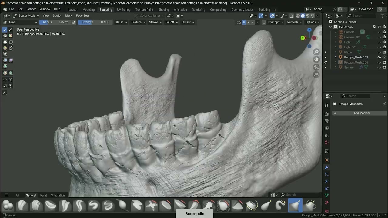 detailed skull overview