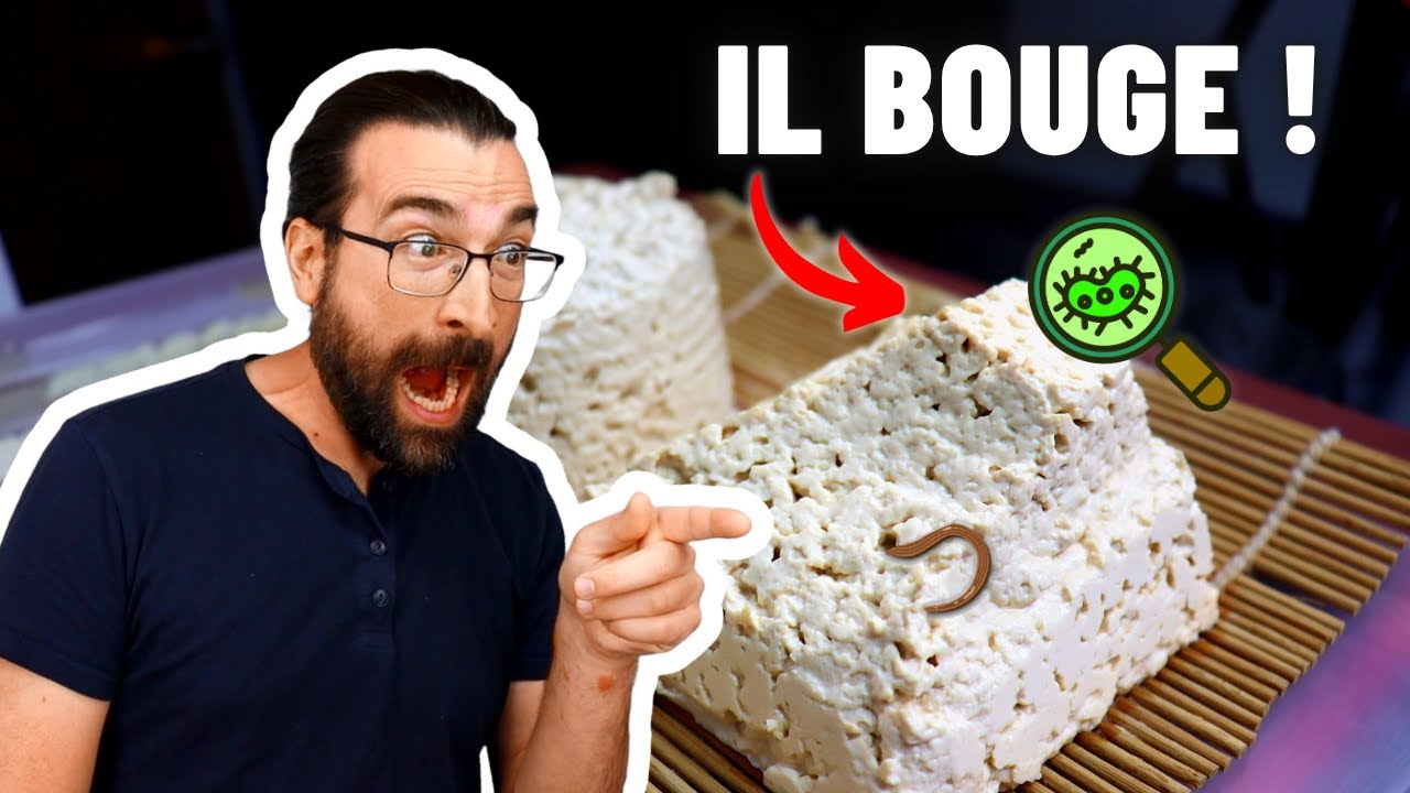 Ce fromage antique a commencé à bouger… et je l'ai mangé 😰