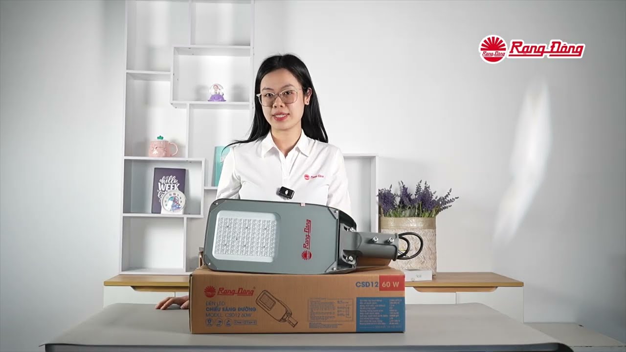 Rang Dong Lighting || Rang Dong’s Modern Street Light Raises Efficiency, Durability