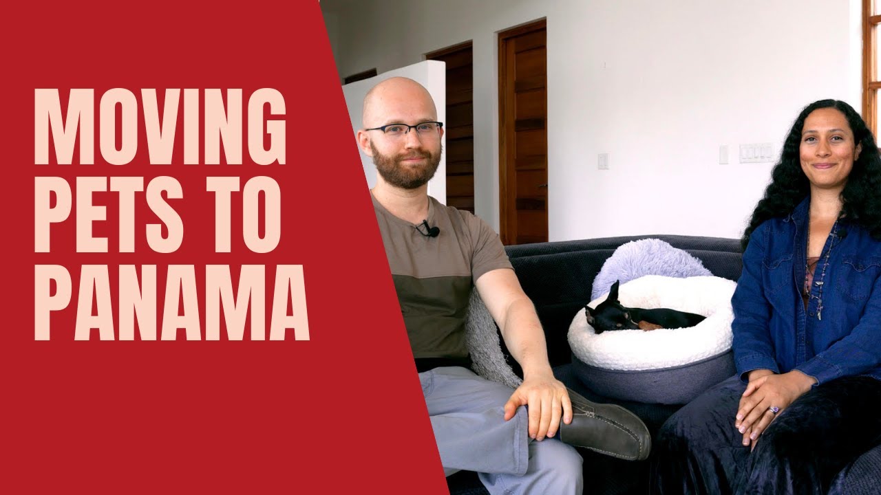 Moving to Panama with Pets - Challenging but Worth It!