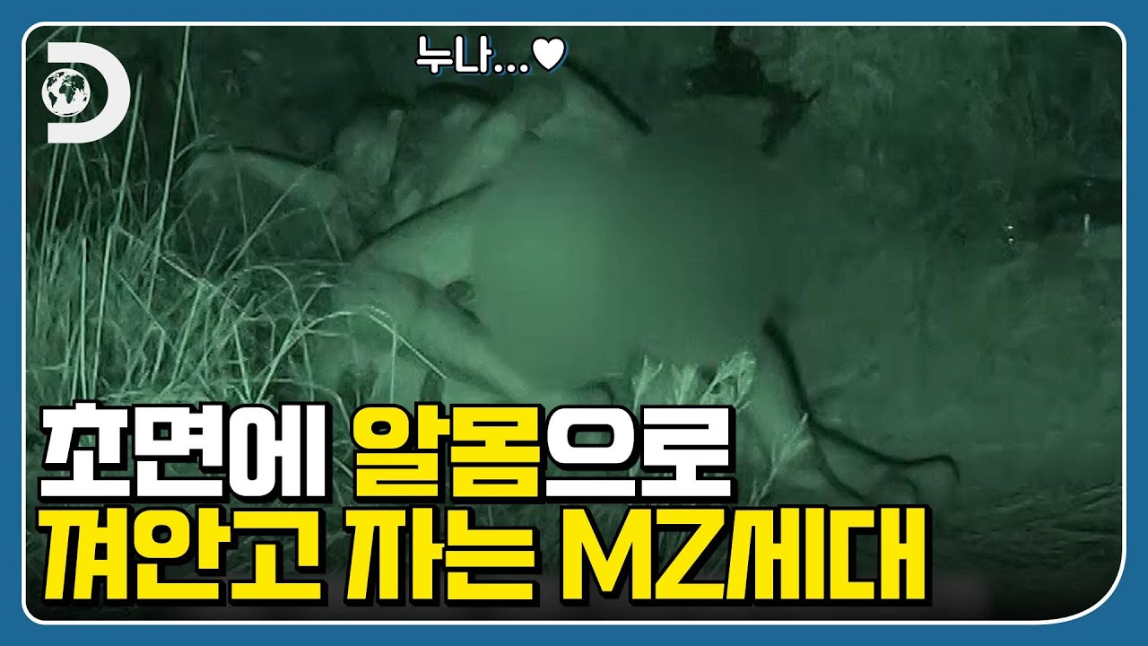 그놈의 MZ MZ해서 MZ 생존기 가져왔습니다 진도가 남다른 MZ의 리얼 알몸 생존기 ep.1  [생존시그널]