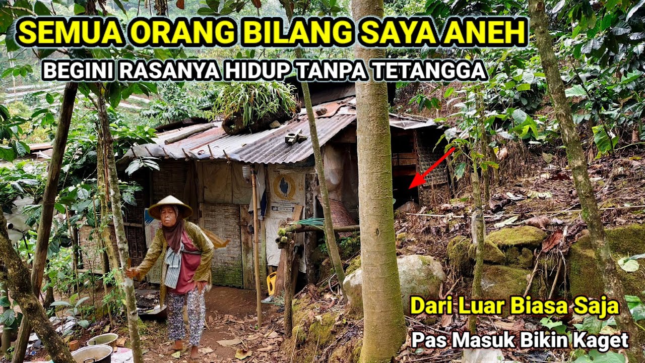 JANGAN KAGET! RUMAH SAYA SEPERTI GUBUK REYOT TERPENCIL DI TENGAH HUTAN GUNUNG PRAU