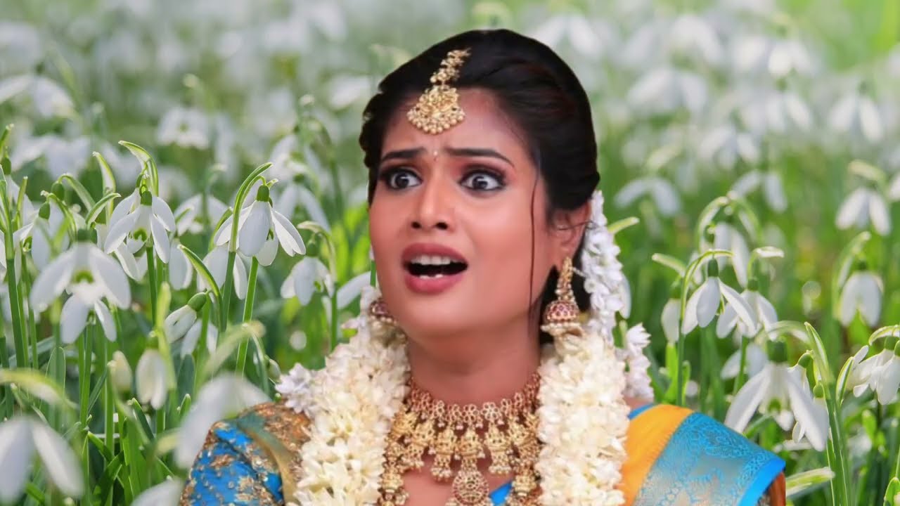 Chinna Marumagal Serial Upcoming Episode Review February 19th | 2026