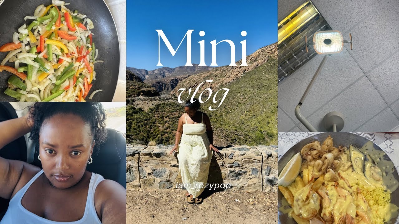 Vlog|grocery haul|road trip|cleaning