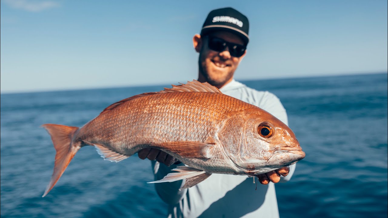 Sth Fraser Island is wild! Catch & Cook (Fish Curry)