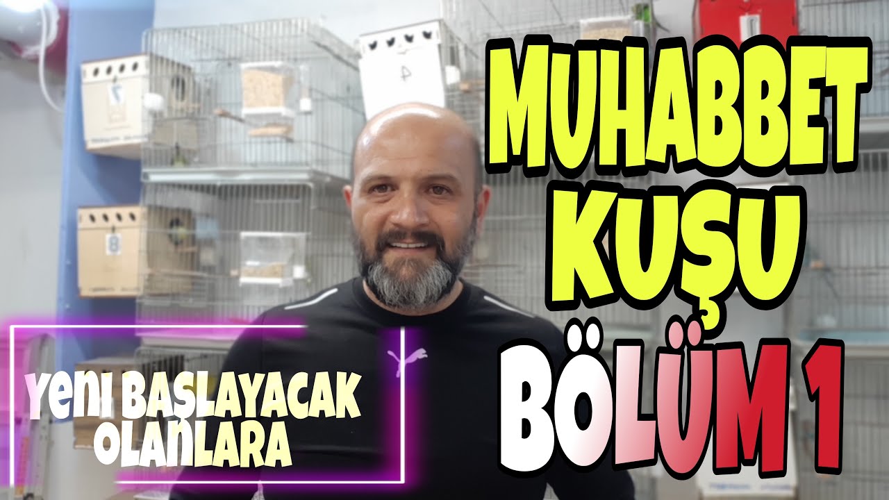 MUHABBET KUŞU ÜRETİMİ -[Muhabbet Kuşu Üretimine Yeni Başlayacaklar] - BÖLÜM 1