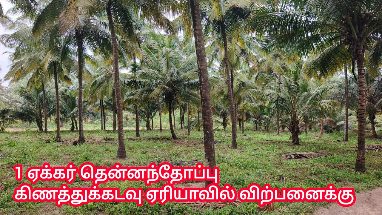 1 acre farm land with house for sale in #Kinathukkadavu