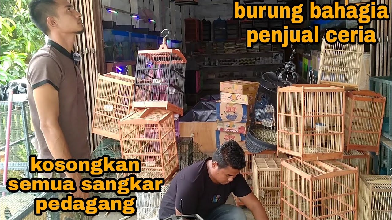 LUDESS_Borong semua burung dan lepas liarkan