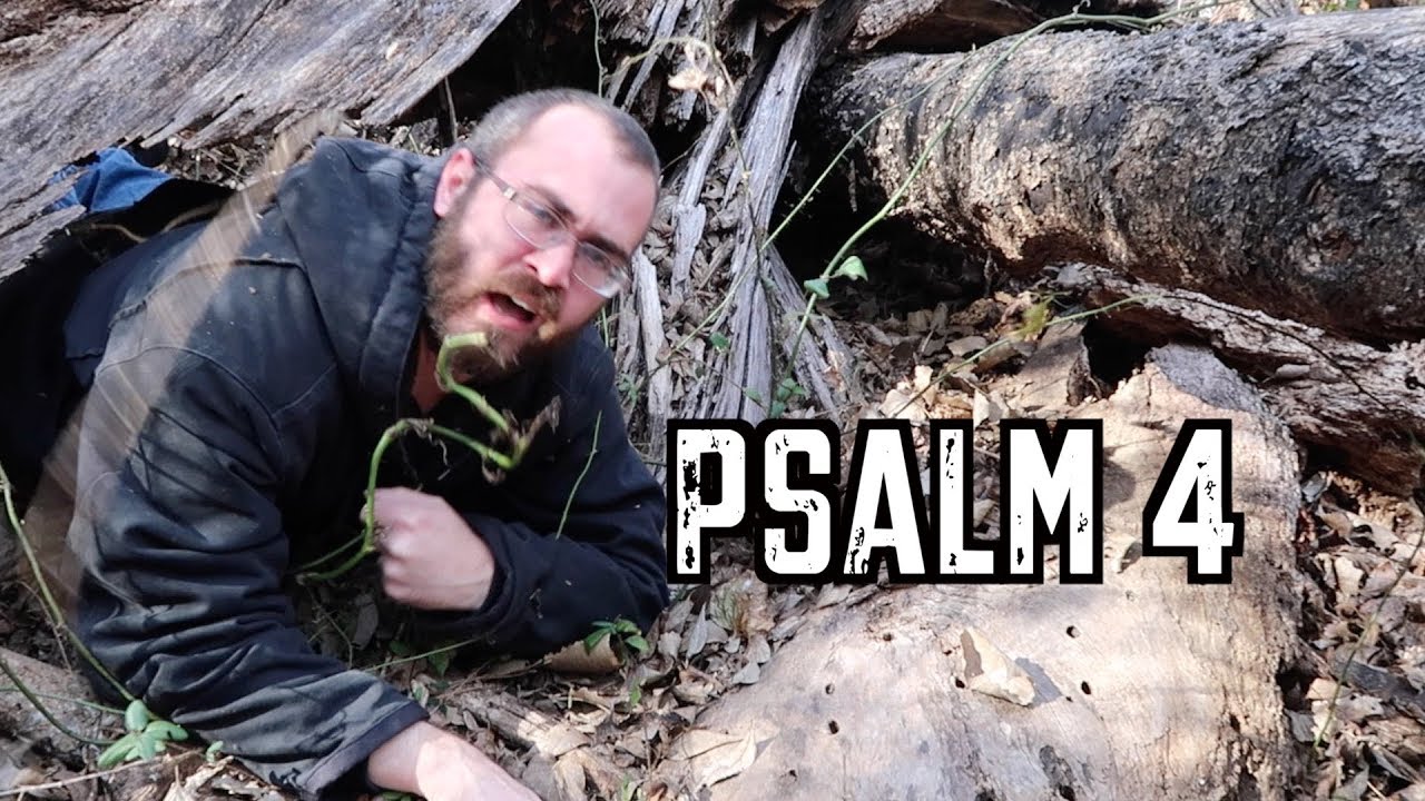 Psalm 4 Bible Study: For the Falsely Accused