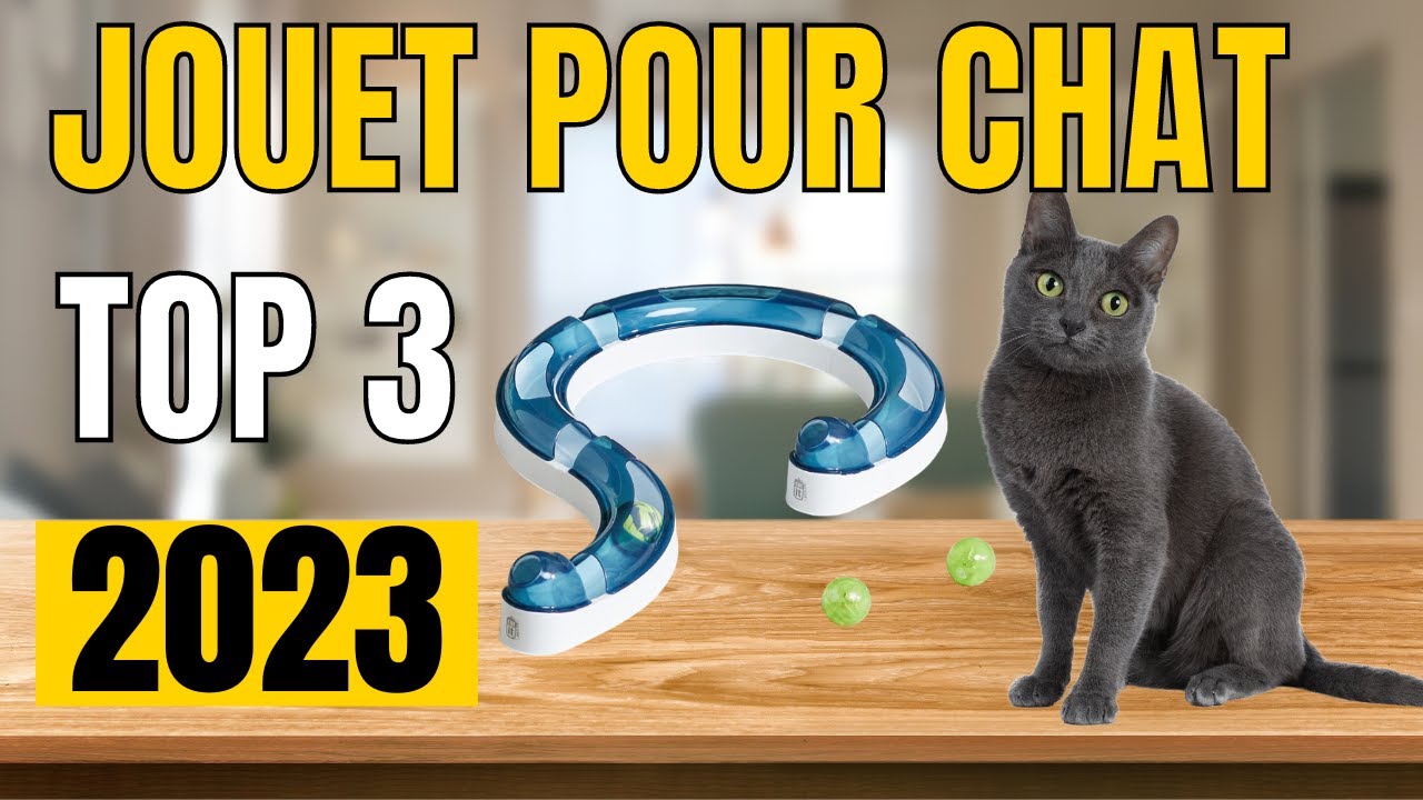 TOP 3 : Meilleur Jouet pour Chat 2023
