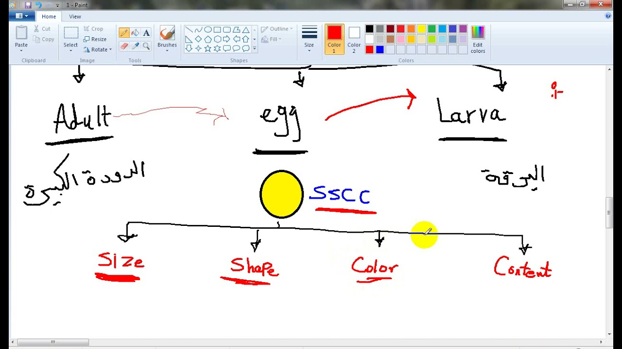 Introduction of Parasitology & Heterophyes heterophyes   Dr Para-dise