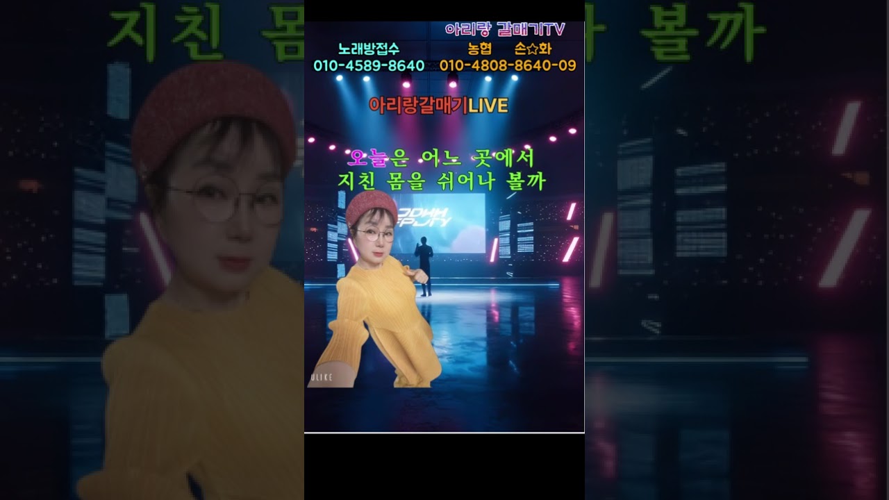 2026년 2월 12일