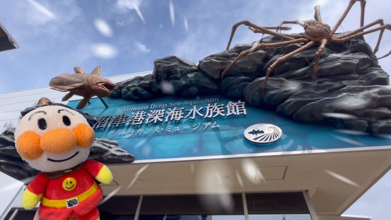 アンパンマン♡沼津港深海水族館へ行ってきたよ★お魚たくさん🐠シーラカンスミュージアム