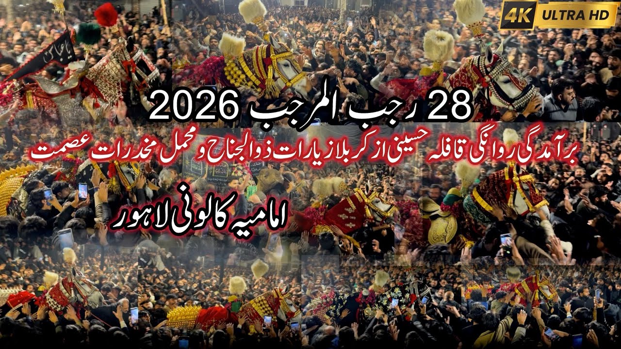 28 Rajab 2026 | Baramdagi Markazi Kafla Hussainia Zuljanah O Mehmal | Imamia Colony Lahore #viral 