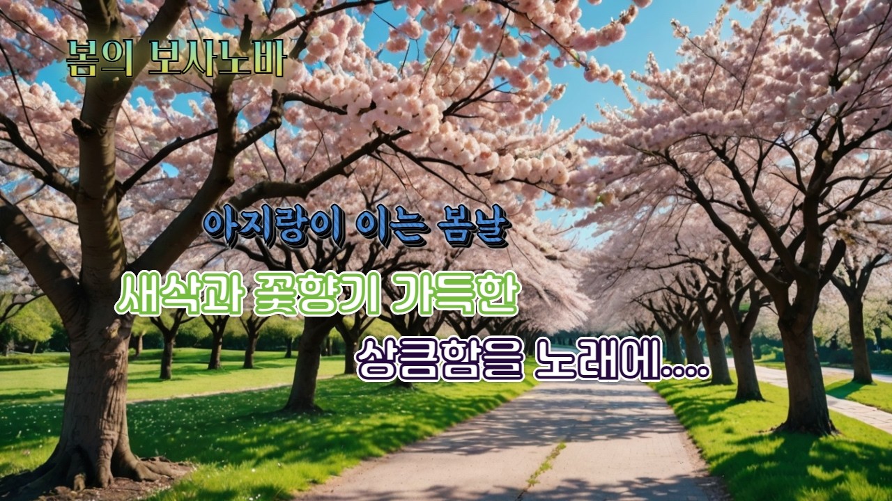 봄의 보사노바
