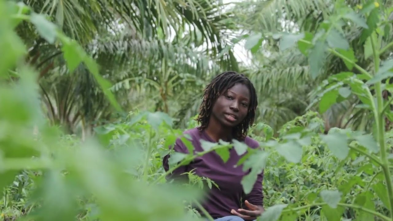 Du champ à l’assiette : Suivez comment nous produisons nos tomates 🍅🌱