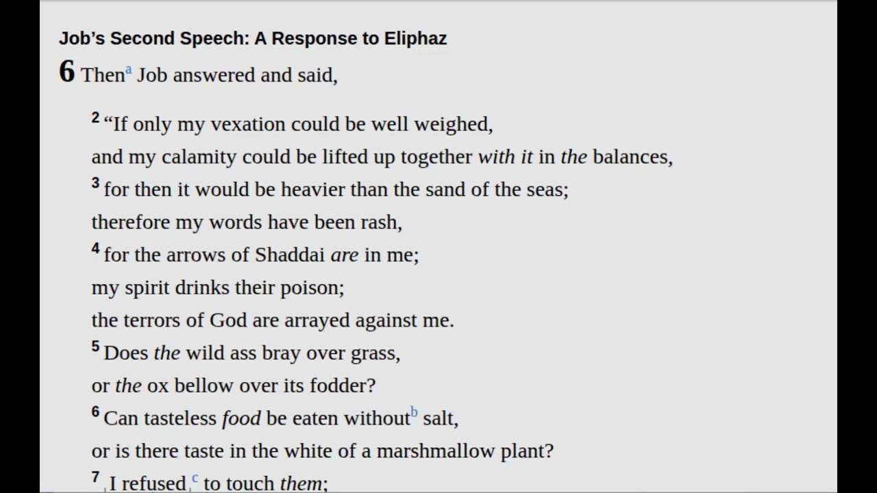 Day 27 (Jan 27): Job 4-7, Matthew 19:1-15, Psalm 17:1-5