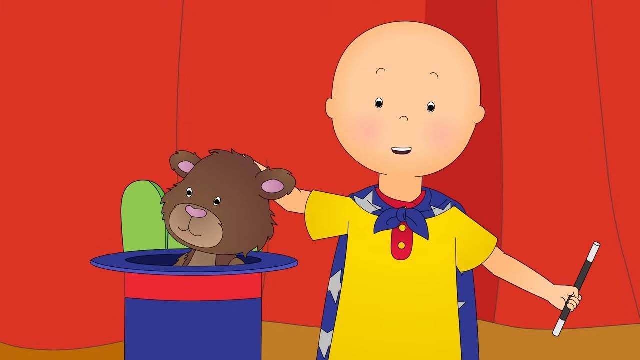 O show de talentos da escola | Caillou Português - WildBrain | Desenhos para crianças