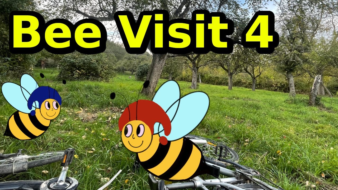 Bee Visit 4 | Cozy Bee Content to Relax
