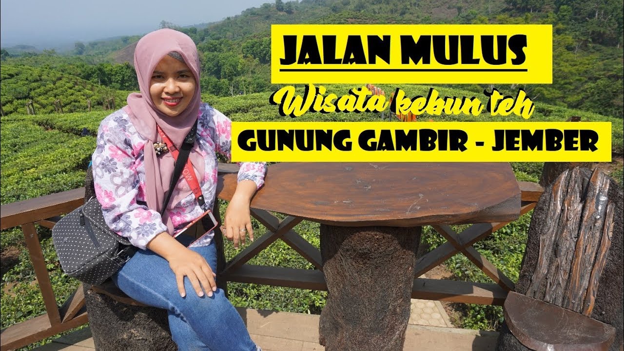 JALAN MULUS MENUJU WISATA KEBUN TEH GUNUNG GAMBIR JEMBER