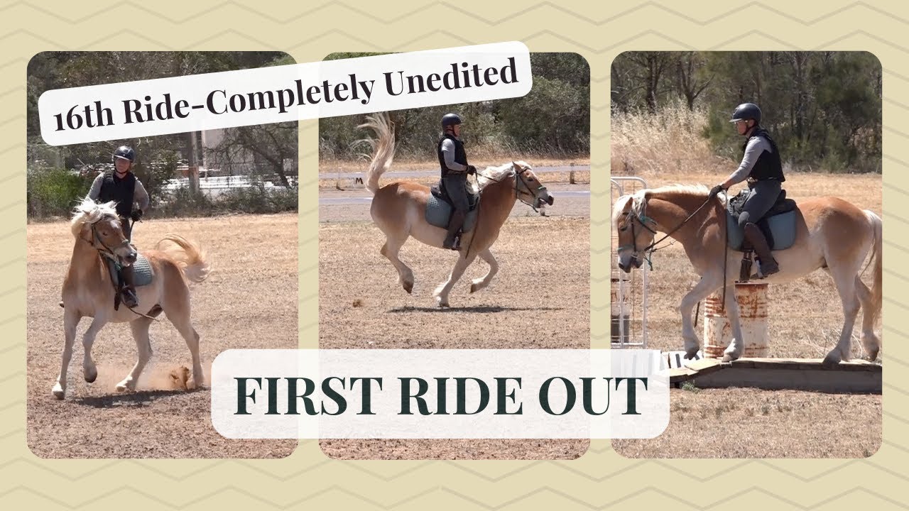 First Ride Out 16 Days Under Saddle