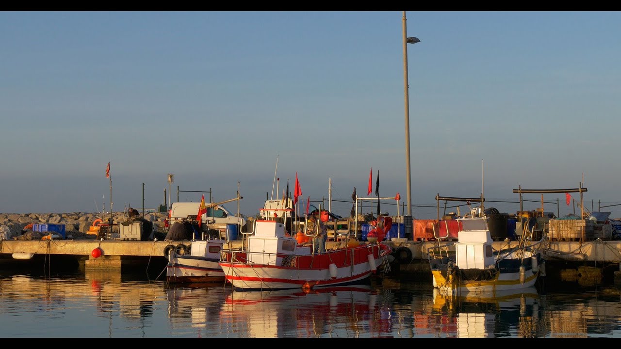 Panasonic Lumix GH4: video sample 4K